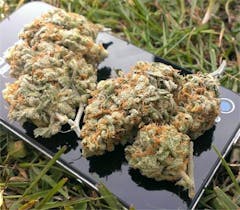 User uploaded image of Waipi'o Hapa