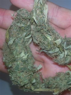 User uploaded image of Waipi'o Hapa