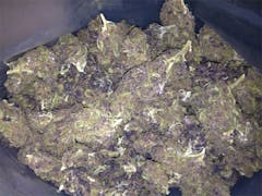 User uploaded image of Waldo