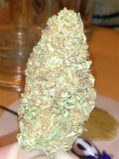 User uploaded image of Wally OG