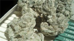 User uploaded image of Walter White