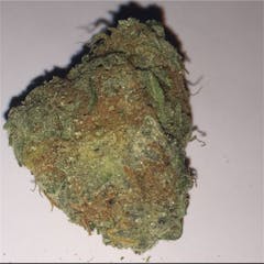 User uploaded image of Wappa