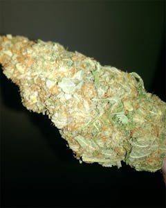 User uploaded image of Wappa