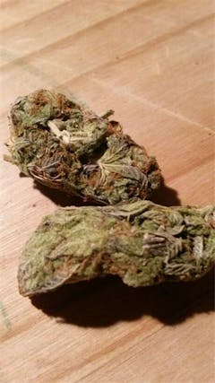 User uploaded image of Warlock