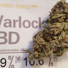 User uploaded image of Warlock