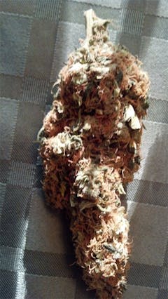 User uploaded image of Warlock