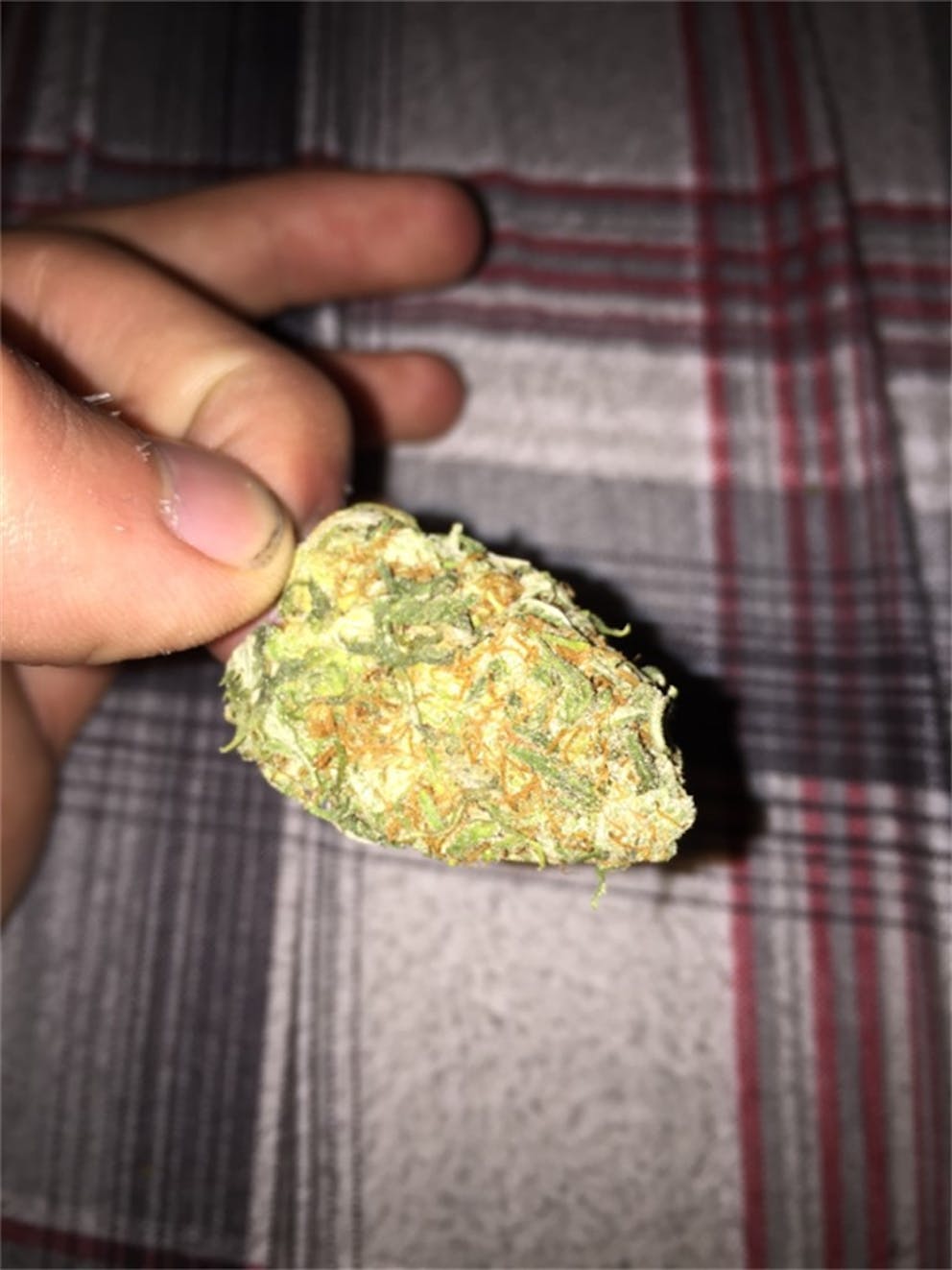 Photos of Watermelon Weed Strain Buds Leafly