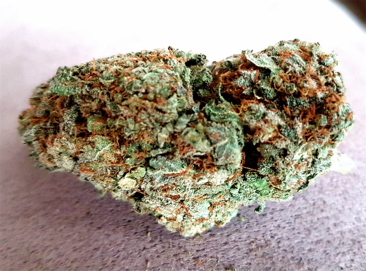 Photos of Watermelon Weed Strain Buds | Leafly