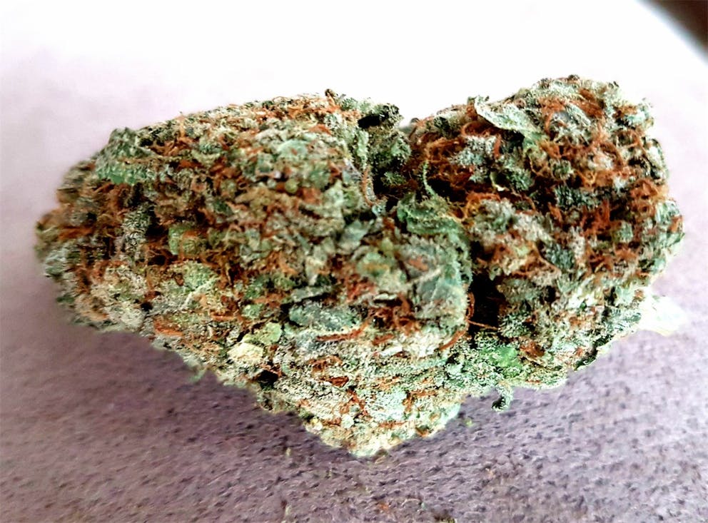 Photos of Watermelon Weed Strain Buds Leafly