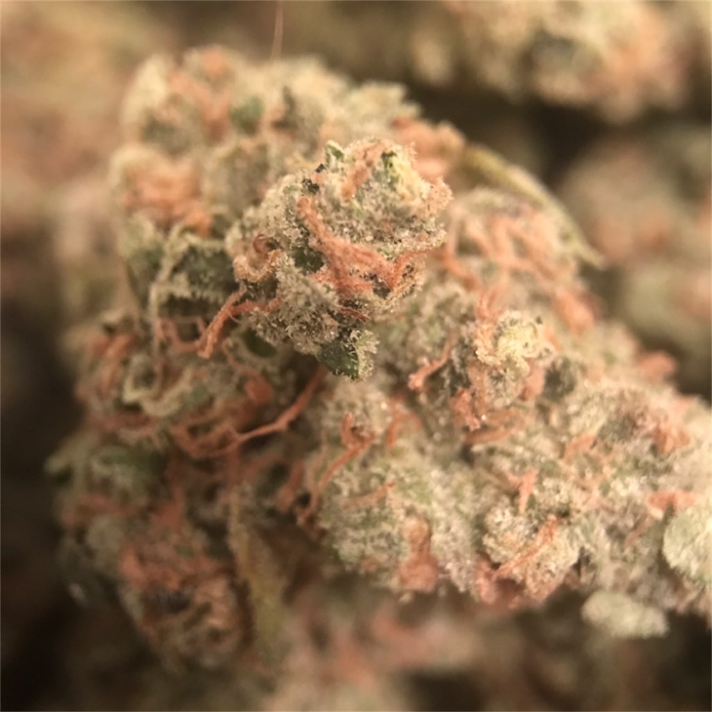 Watermelon aka Watermelon Kush, Watermelon OG Weed Strain Information |  Leafly