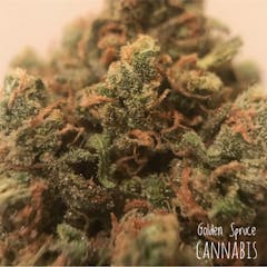 User uploaded image of Watermelon