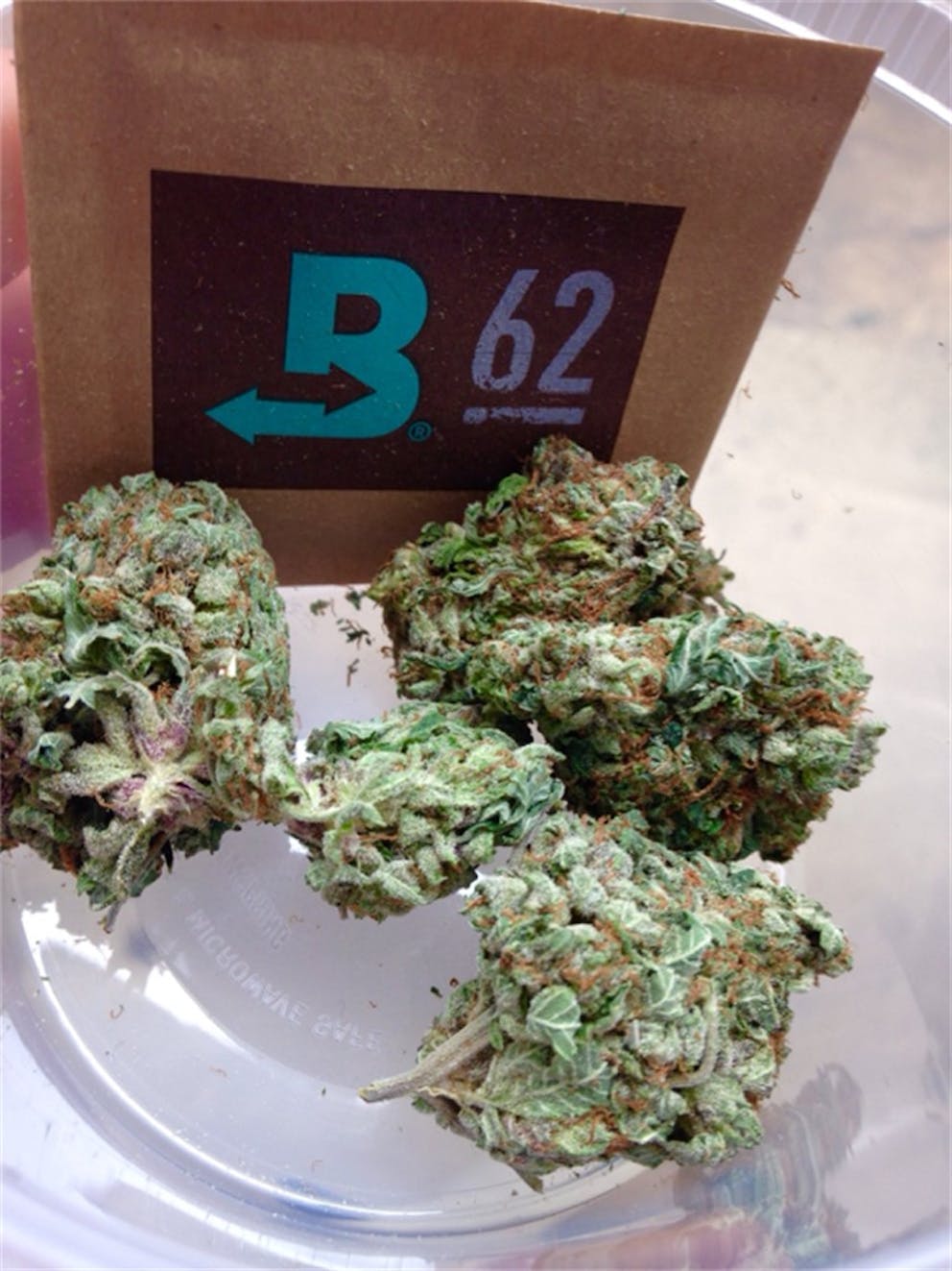 Photos of Watermelon Weed Strain Buds Leafly