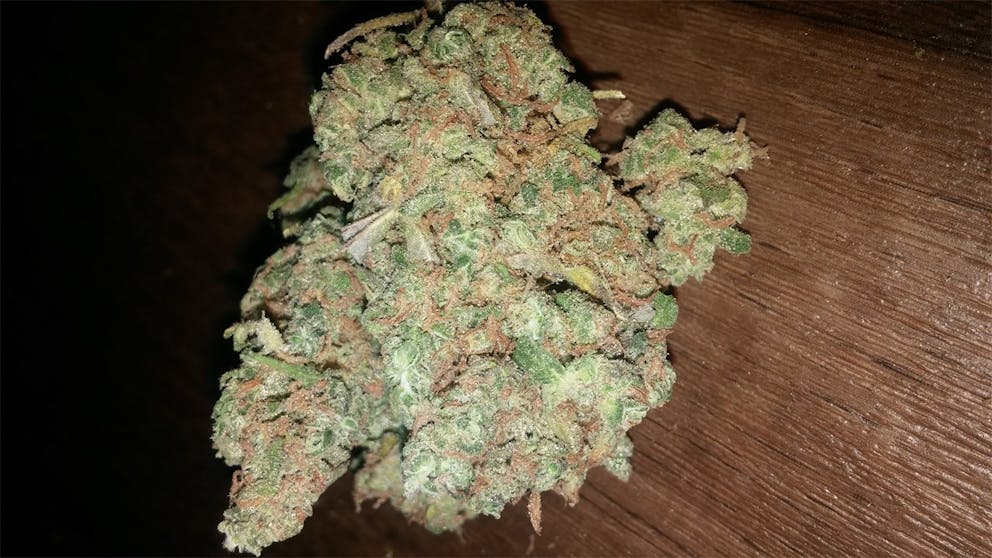 Photos of Watermelon Weed Strain Buds Leafly