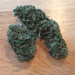 User uploaded image of Webster