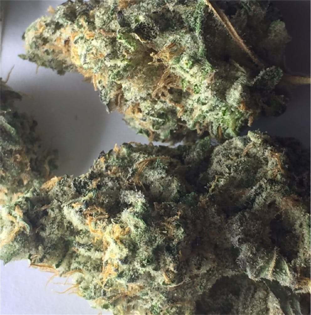 Photos of Wedding Cake Weed Strain Buds Leafly