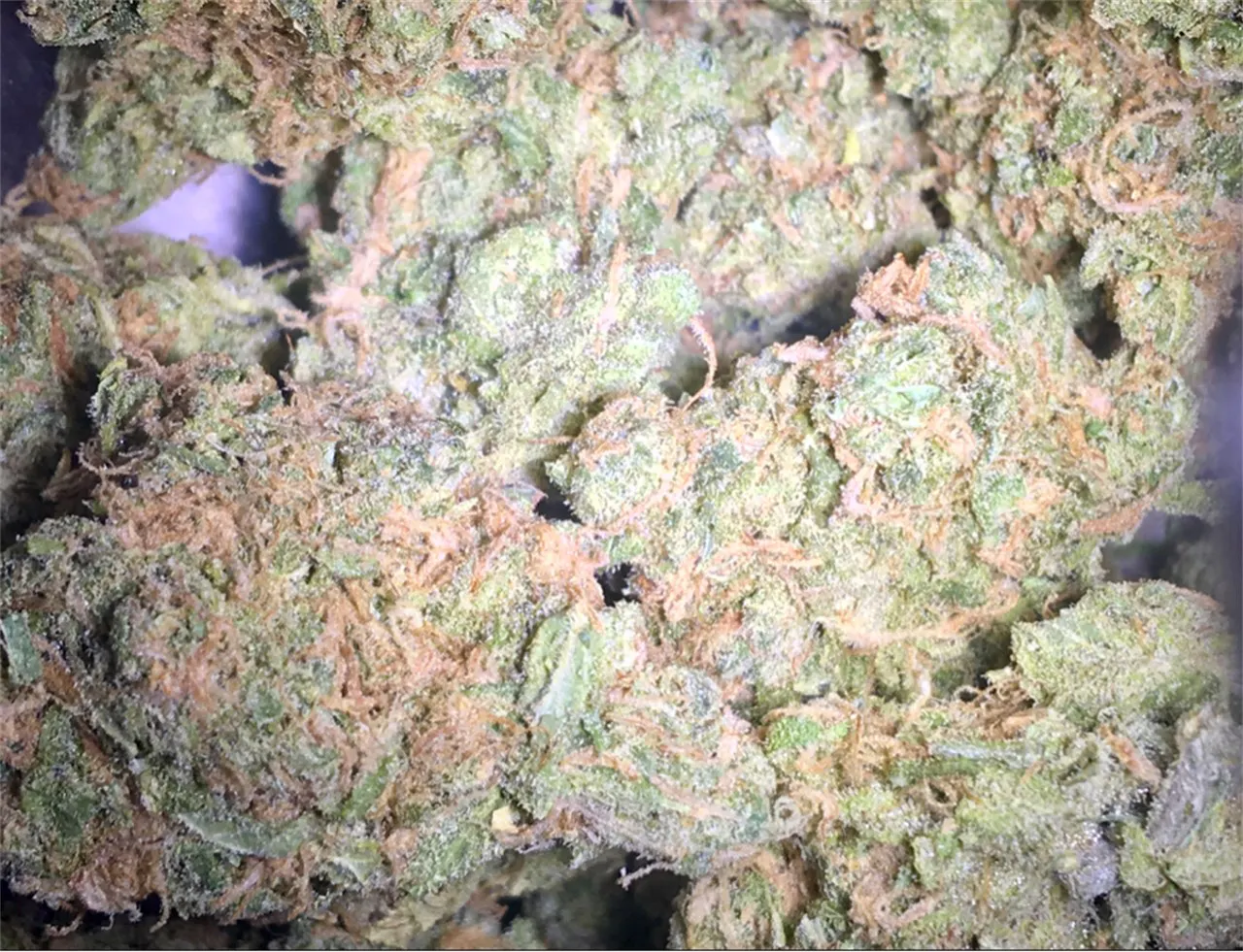 Photos of Wedding Cake Weed Strain Buds | Leafly