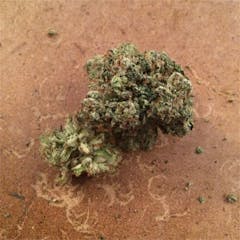 User uploaded image of Wellness OG