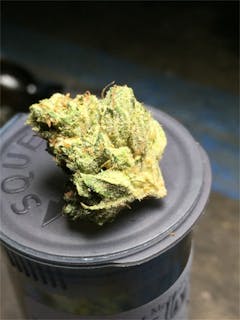 User uploaded image of Wellness OG