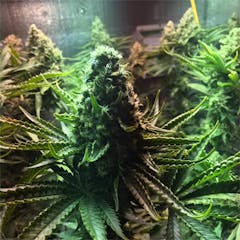 User uploaded image of Wembley