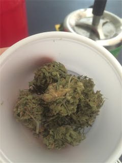 User uploaded image of Wet Dream