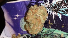 User uploaded image of Wet Dream