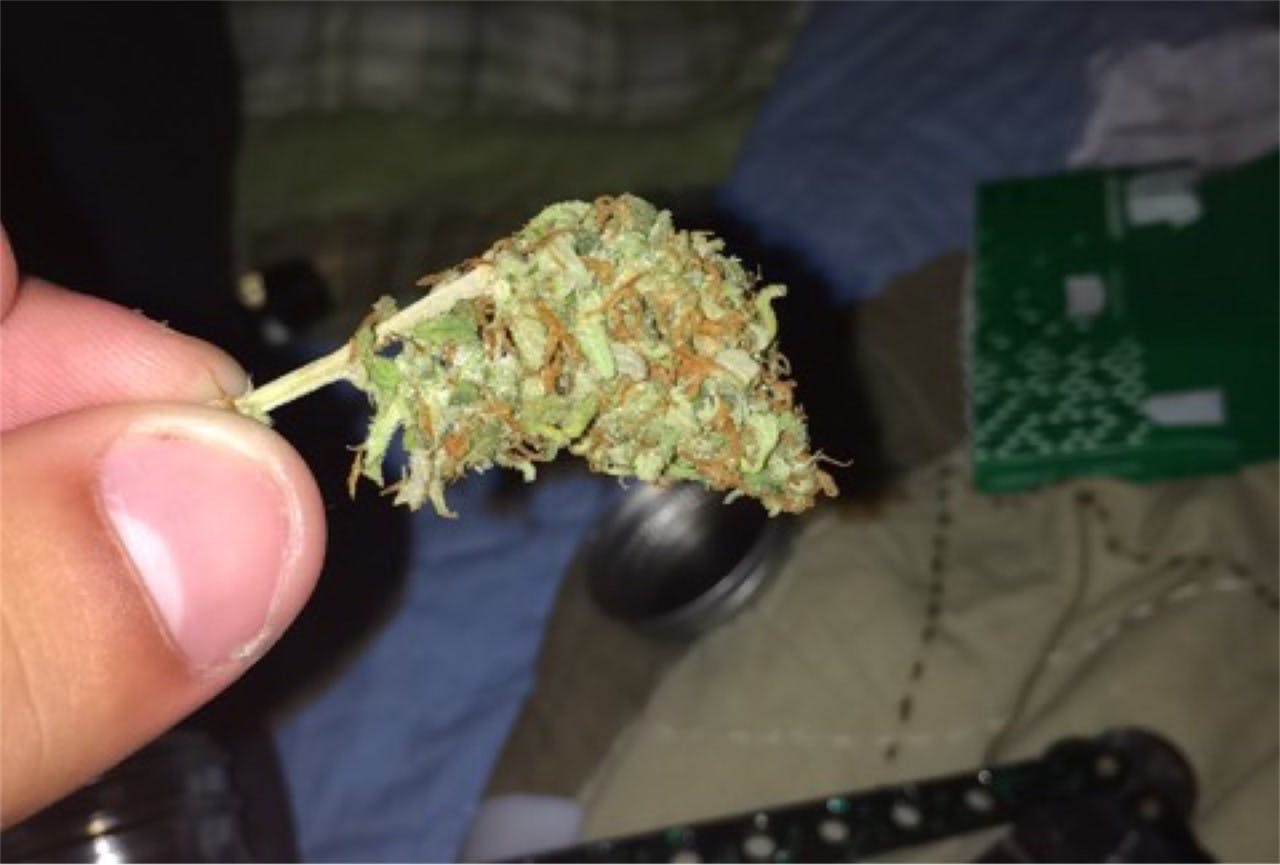 Wet Dream aka Wet Dreams Weed Strain Information Leafly