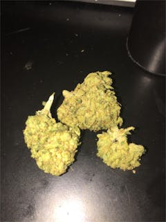 User uploaded image of Wet Dream