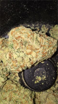 User uploaded image of Wet Dream