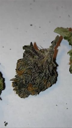 User uploaded image of Whitaker Blues