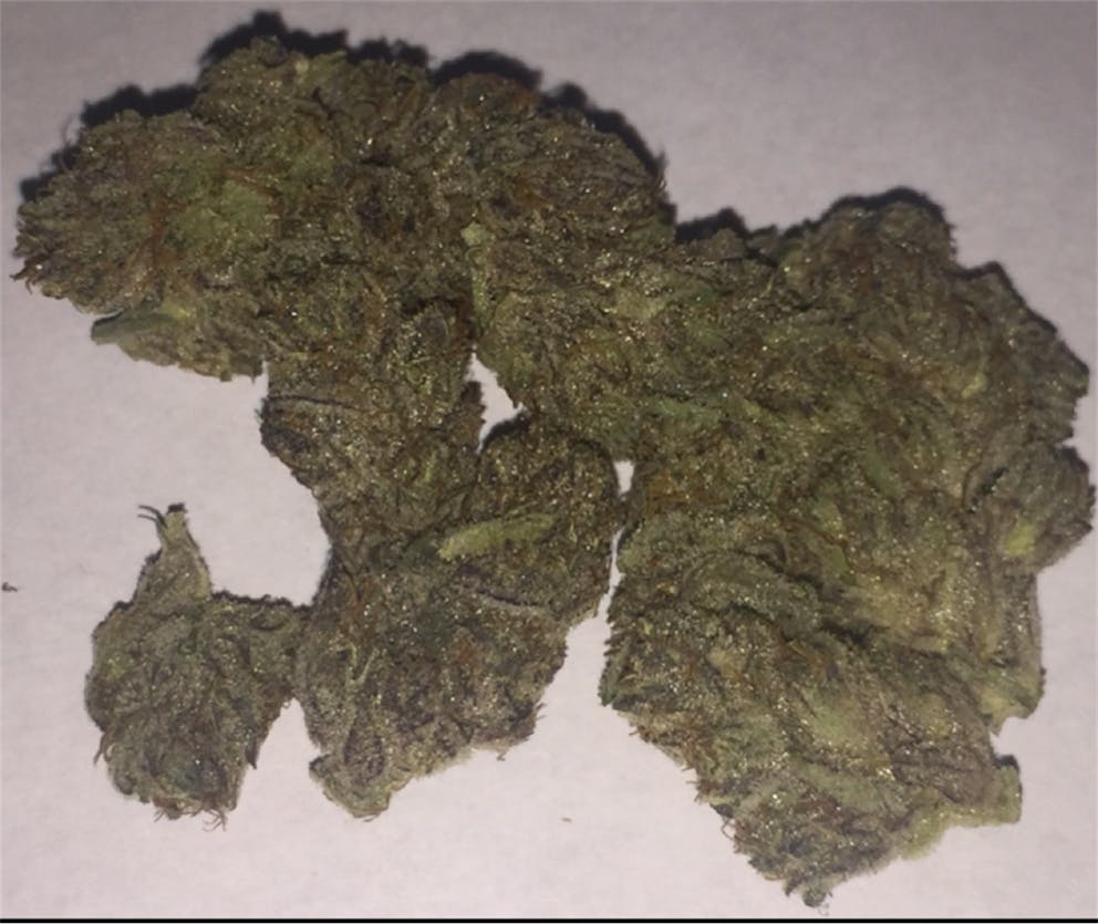 Photos of White Buffalo Weed Strain Buds | Leafly