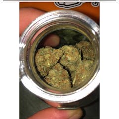 User uploaded image of White Dawg