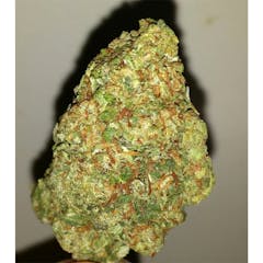 User uploaded image of White Dawg