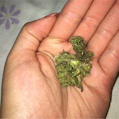 User uploaded image of White Dawg