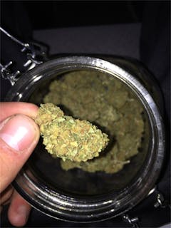 User uploaded image of White Dawg