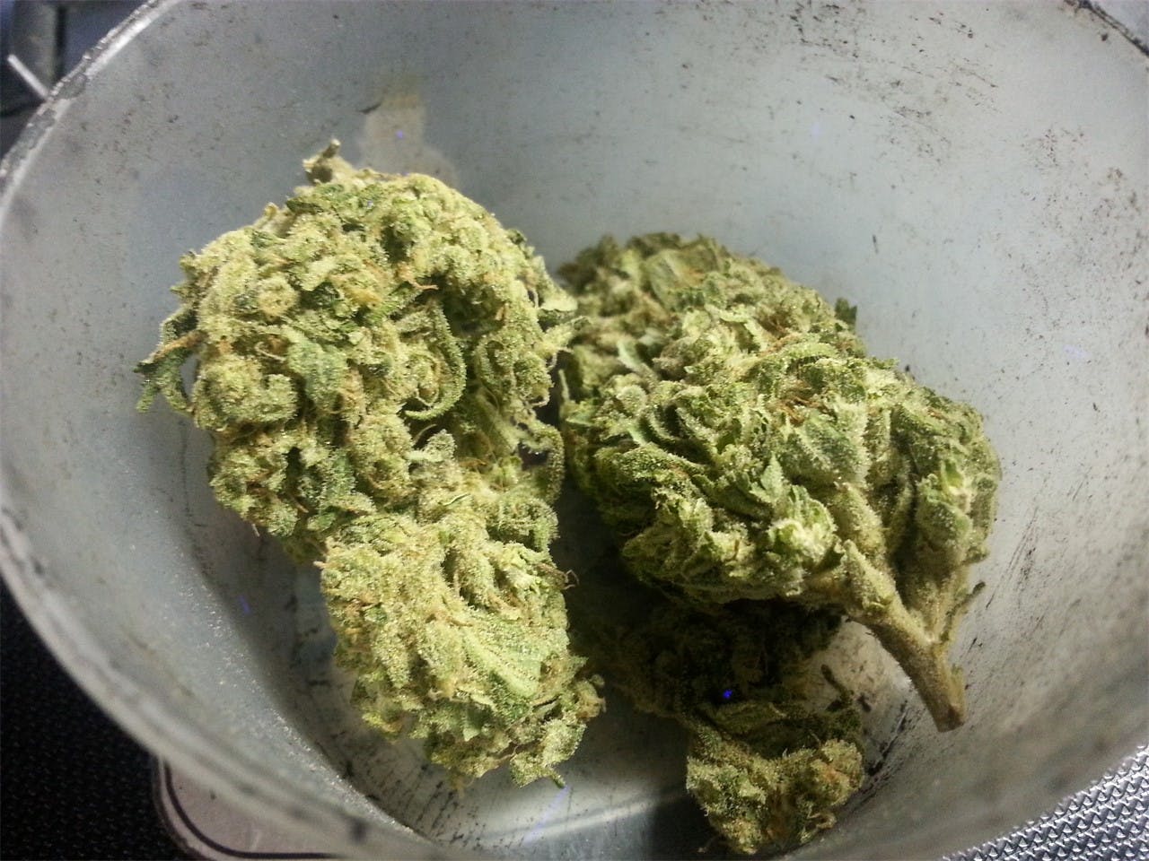 Photos of White Dawg Weed Strain Buds Leafly