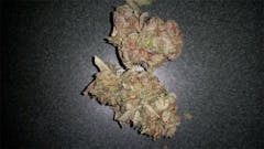 User uploaded image of White Diesel
