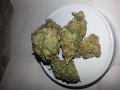 User uploaded image of White Dragon