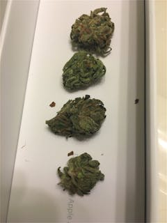 User uploaded image of White Dream