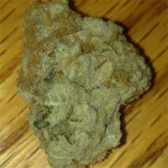 User uploaded image of White Dream