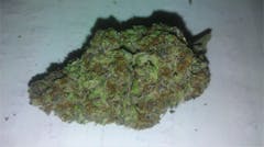 User uploaded image of White Dream