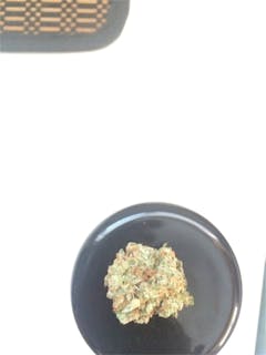 User uploaded image of White Dream