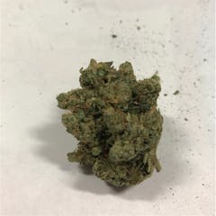 User uploaded image of White Durban
