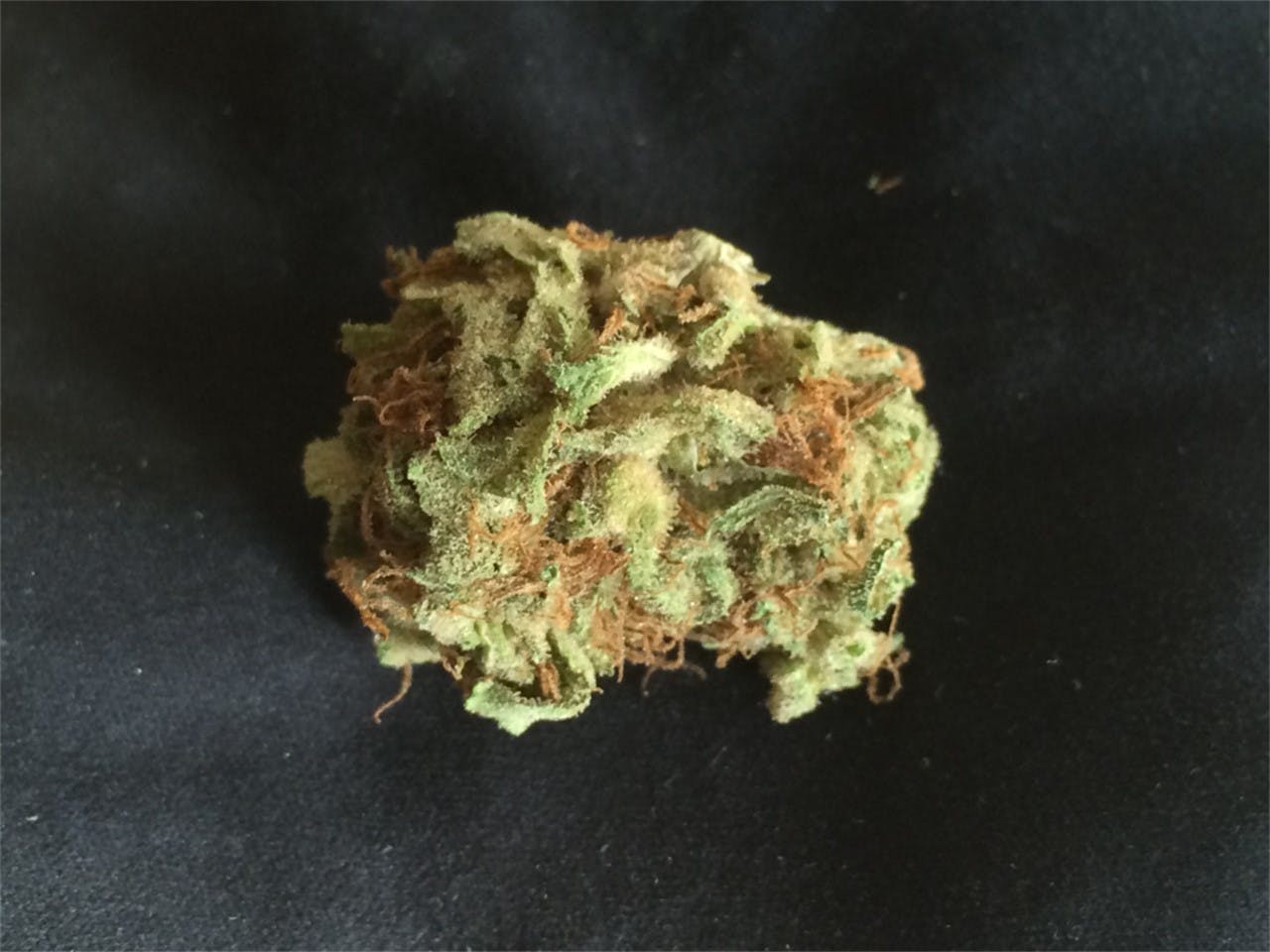 White Elephant aka Berry White Elephant Weed Strain Information Leafly