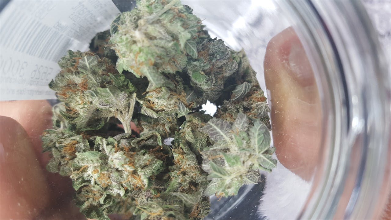 White Elephant aka Berry White Elephant Weed Strain Information Leafly