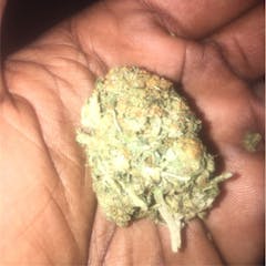 User uploaded image of White Elephant