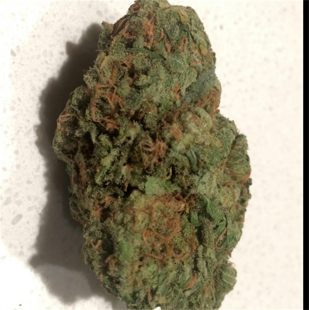 White Elephant aka Berry White Elephant Weed Strain Information Leafly