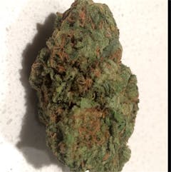 User uploaded image of White Elephant