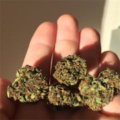 User uploaded image of White Fire Alien OG