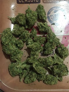 User uploaded image of White Fire Alien OG