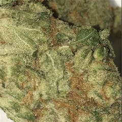 User uploaded image of White Fire OG